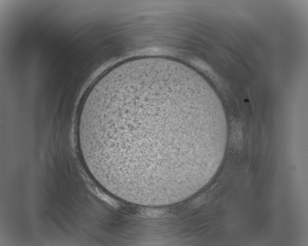 X0000082151278200702162159