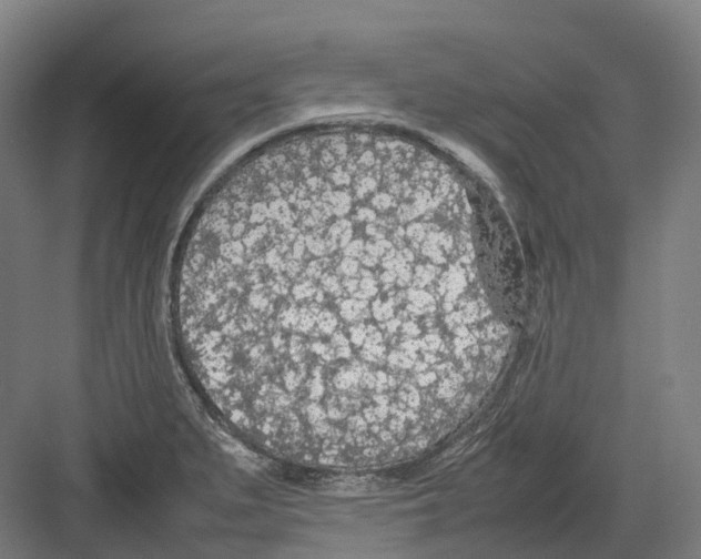 X0000082151279200702162159