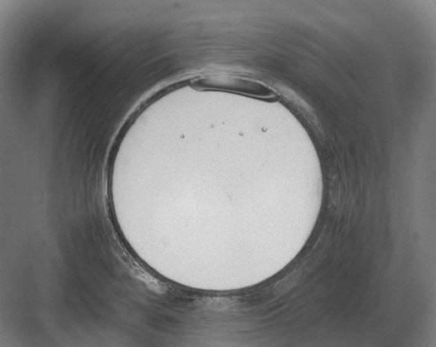 X0000082151280200702162159