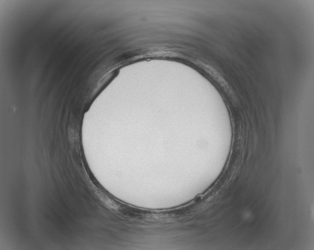 X0000082151281200702162159