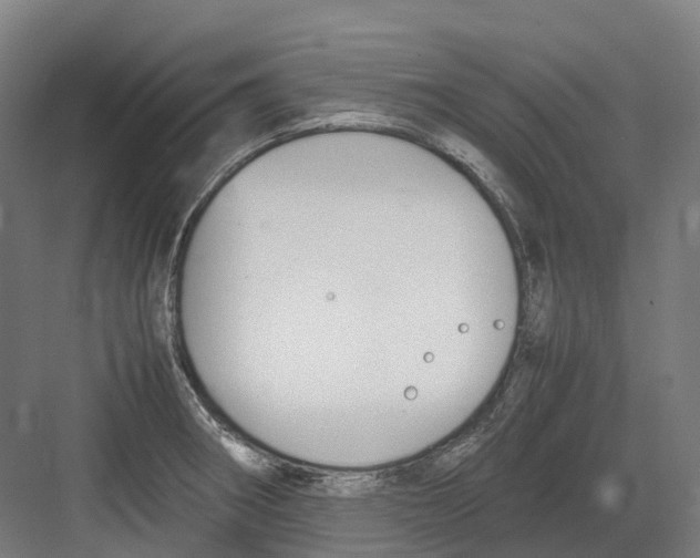 X0000082151282200702162159