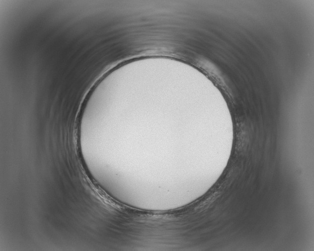 X0000082151284200702162159