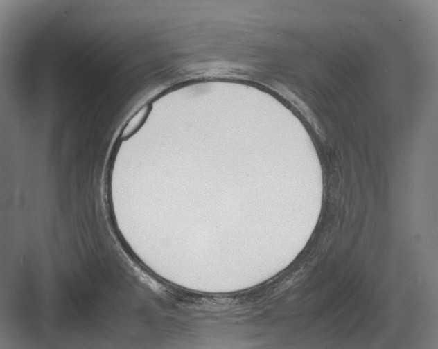 X0000082151285200702162159