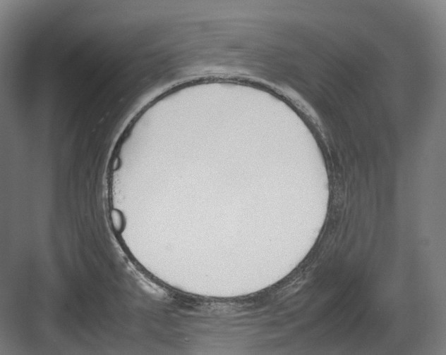 X0000082151287200702162159