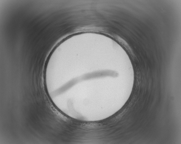 X0000082151288200702162159