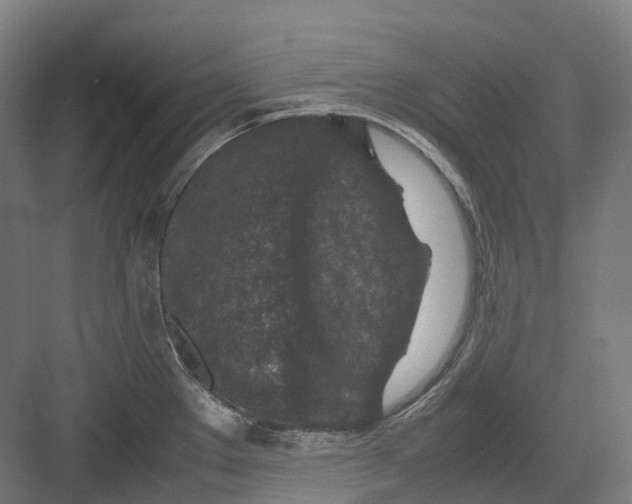 X0000082151289200702162159