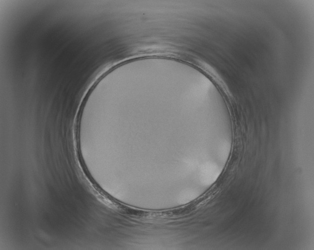 X0000082151291200702162159