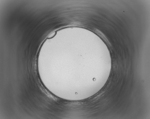 X0000082151292200702162159