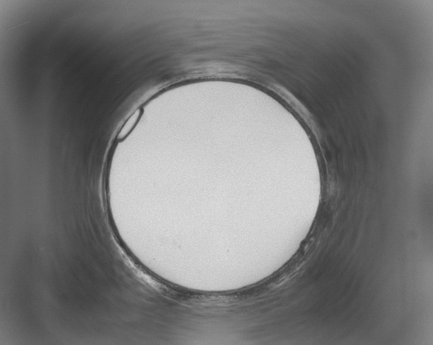 X0000082151293200702162159