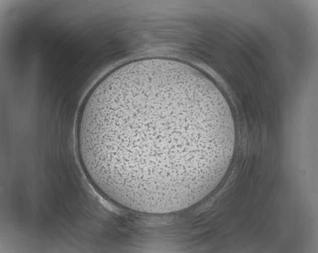 X0000082151294200702162159