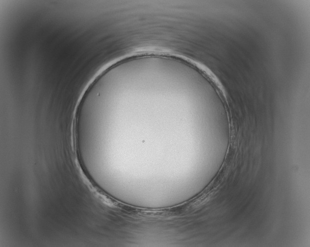 X0000082151295200702162159