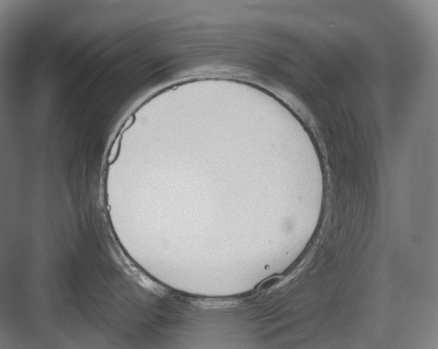 X0000082151296200702162159