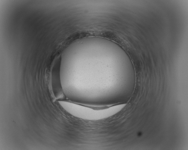 X0000082151298200702162158