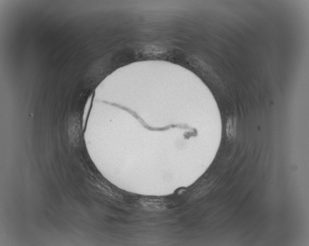 X0000082151299200702162158