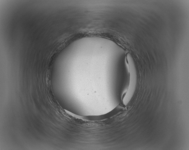 X0000082151300200702162158