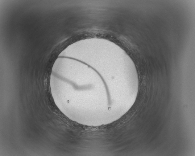 X0000082151302200702162158