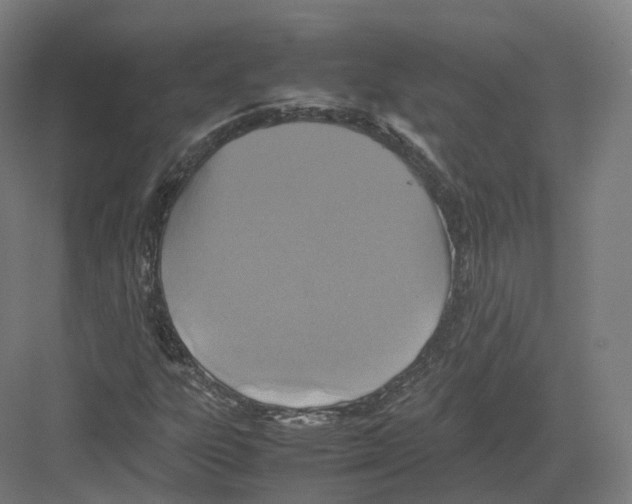 X0000082151303200702162158