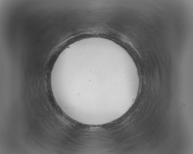 X0000082151304200702162158