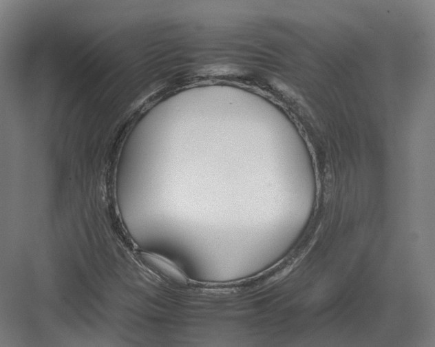 X0000082151305200702162158