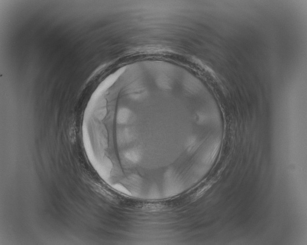 X0000082151306200702162158