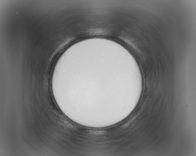 X0000082151309200702162158