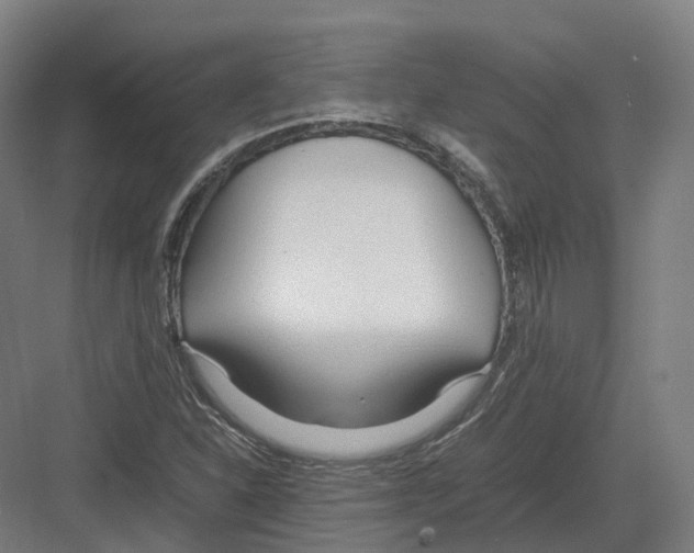 X0000082151310200702162158