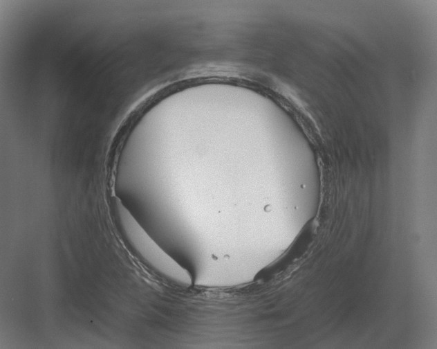 X0000082151312200702162158