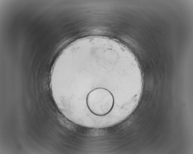 X0000082151314200702162158