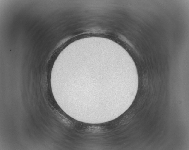 X0000082151315200702162158