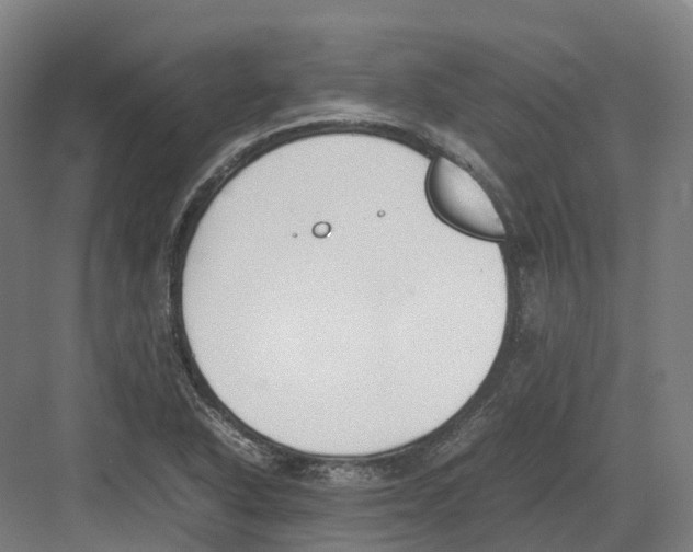 X0000082151318200702162158