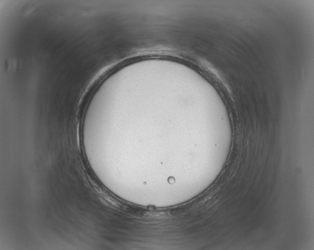 X0000082151320200702162158