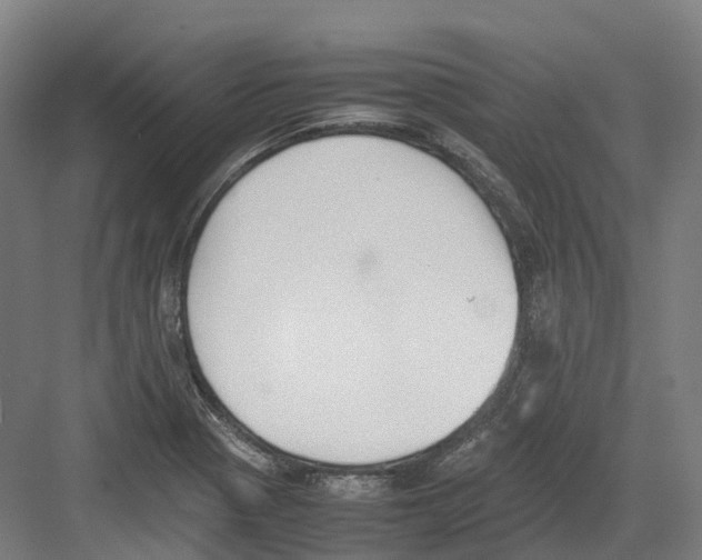 X0000082151321200702162158