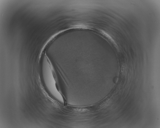 X0000082151323200702162158