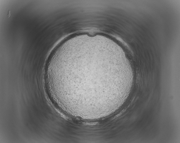 X0000082151325200702162158