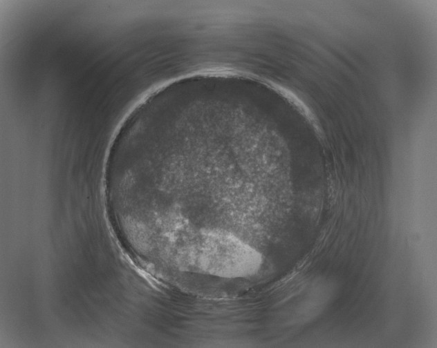 X0000082151327200702162158