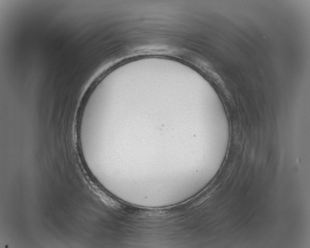 X0000082151328200702162158