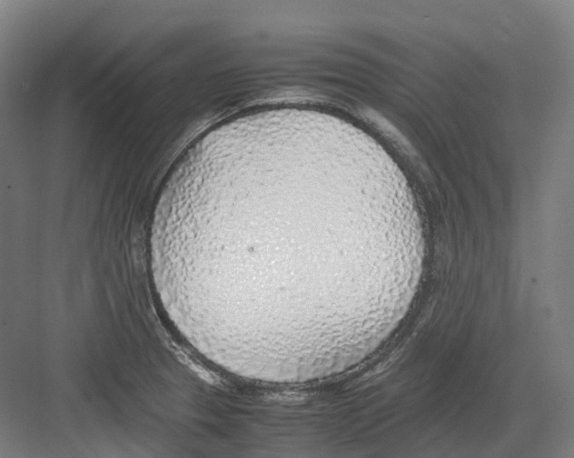 X0000082151329200702162158