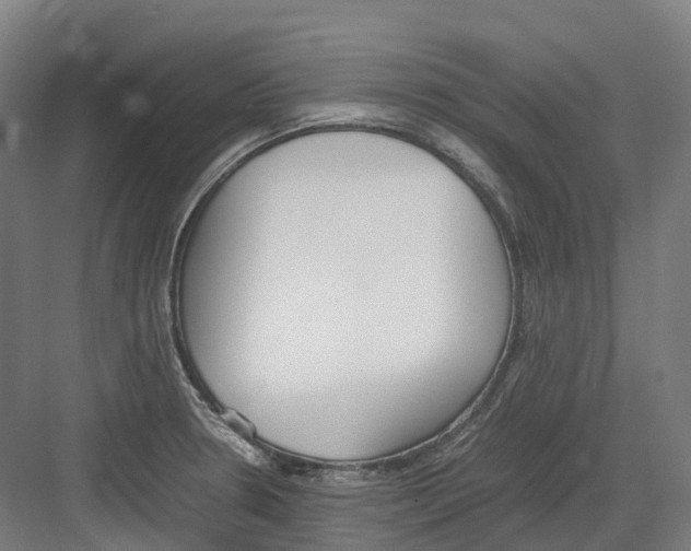 X0000082151330200702162158