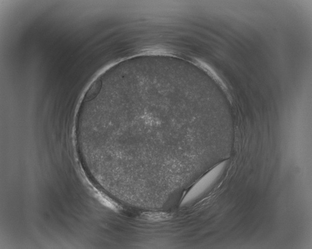 X0000082151331200702162158