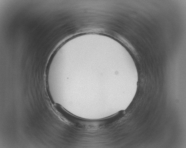 X0000082151332200702162158