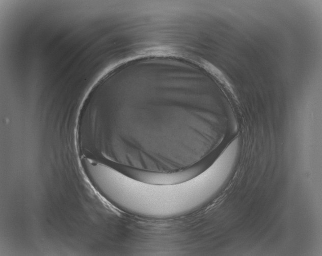 X0000082151334200702162158