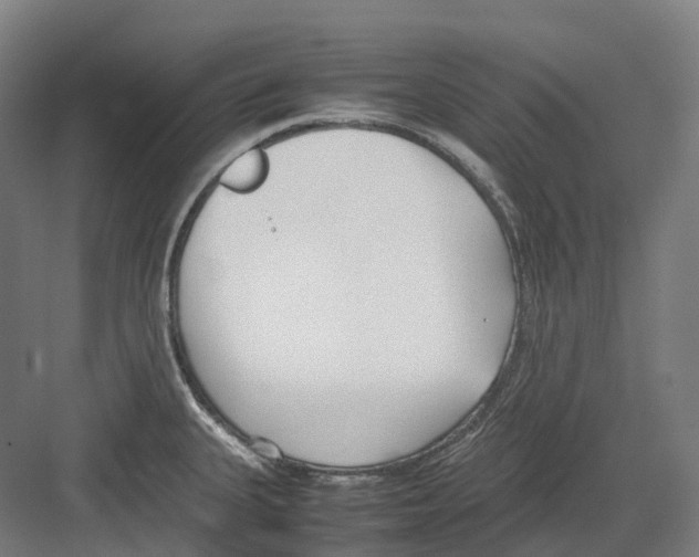 X0000082151335200702162158