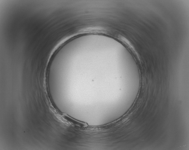 X0000082151336200702162158