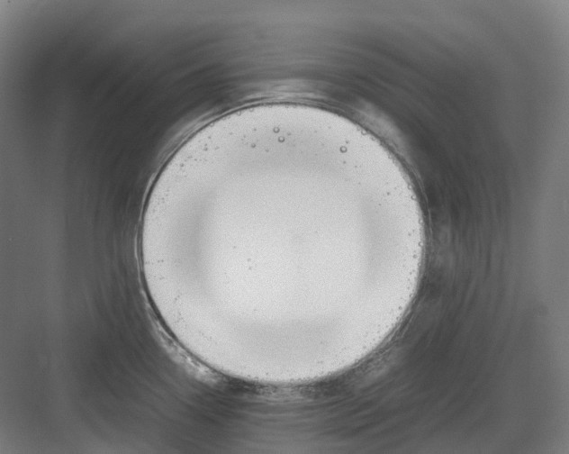 X0000082151338200702162158