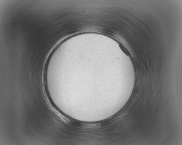 X0000082151339200702162158