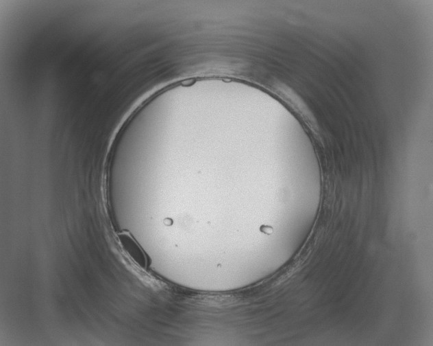 X0000082151340200702162159