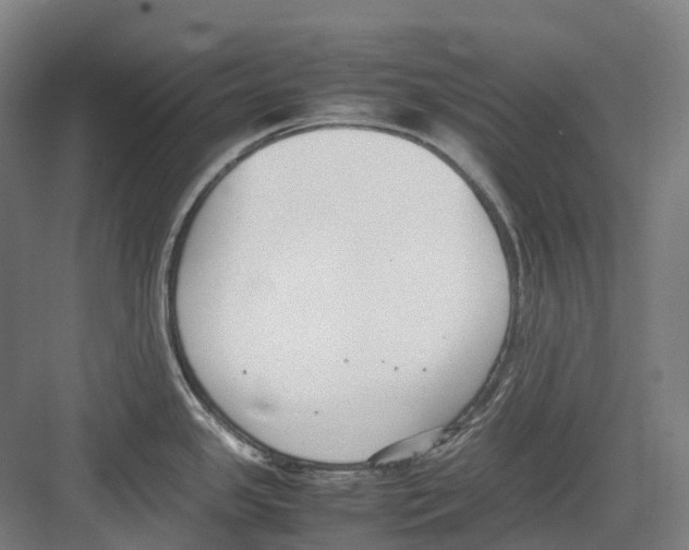 X0000082151341200702162159