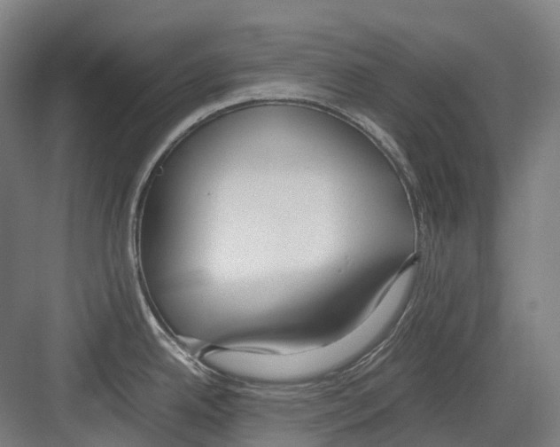 X0000082151342200702162159