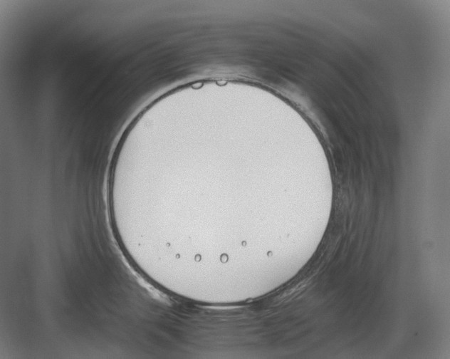 X0000082151343200702162159