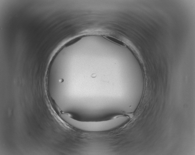 X0000082151344200702162159